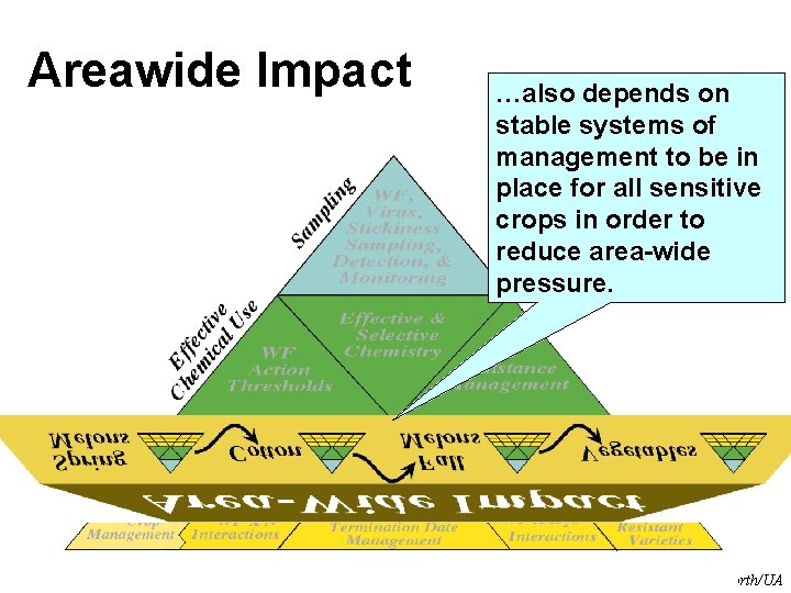 Areawide Impact …also depends on stable systems of management to be in place for Areawide Impact …also depends on stable systems of management to be in place for
