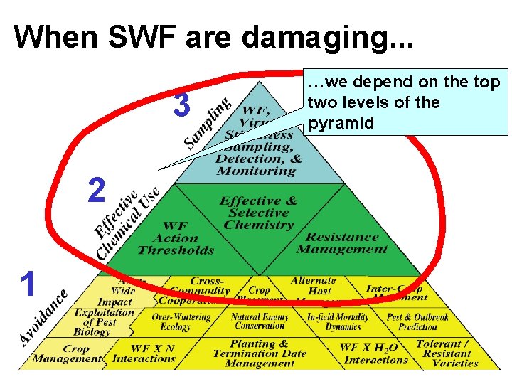 When SWF are damaging. . . 3 …we depend on the top two levels When SWF are damaging. . . 3 …we depend on the top two levels