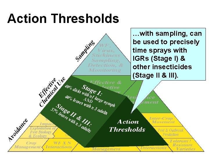 Action Thresholds …with sampling, can be used to precisely time sprays with IGRs (Stage Action Thresholds …with sampling, can be used to precisely time sprays with IGRs (Stage