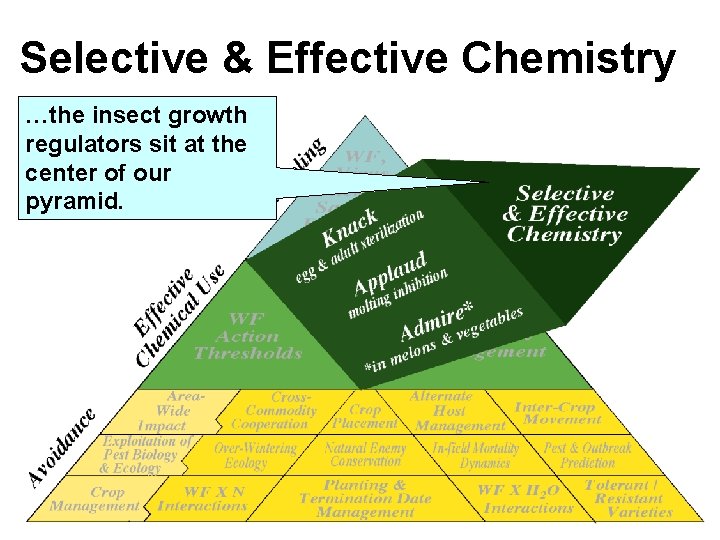 Selective & Effective Chemistry …the insect growth regulators sit at the center of our Selective & Effective Chemistry …the insect growth regulators sit at the center of our