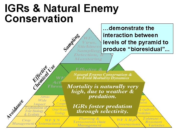 IGRs & Natural Enemy Conservation …demonstrate the interaction between levels of the pyramid to IGRs & Natural Enemy Conservation …demonstrate the interaction between levels of the pyramid to