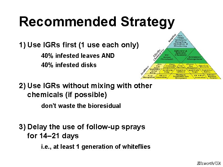 Recommended Strategy 1) Use IGRs first (1 use each only) 40% infested leaves AND Recommended Strategy 1) Use IGRs first (1 use each only) 40% infested leaves AND