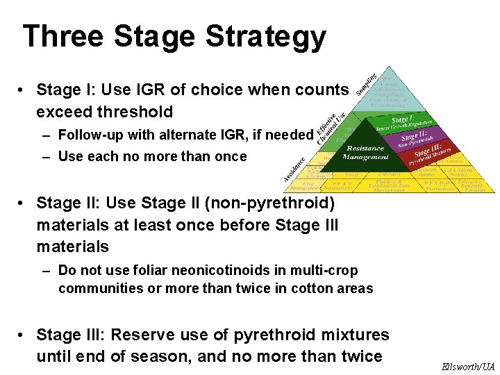 Three Stage Strategy • Stage I: Use IGR of choice when counts exceed threshold Three Stage Strategy • Stage I: Use IGR of choice when counts exceed threshold