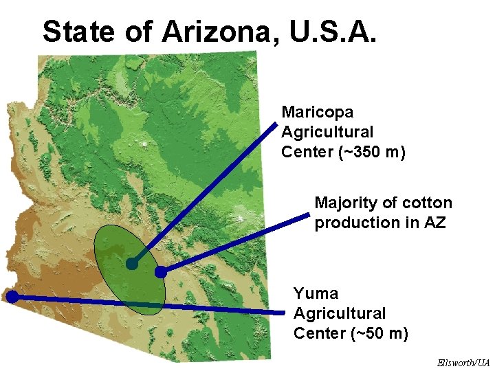 State of Arizona, U. S. A. Maricopa Agricultural Center (~350 m) Majority of cotton State of Arizona, U. S. A. Maricopa Agricultural Center (~350 m) Majority of cotton