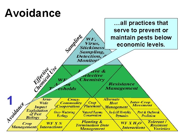 Avoidance …all practices that serve to prevent or maintain pests below economic levels. 1 Avoidance …all practices that serve to prevent or maintain pests below economic levels. 1