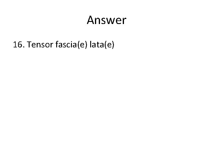 Answer 16. Tensor fascia(e) lata(e) 