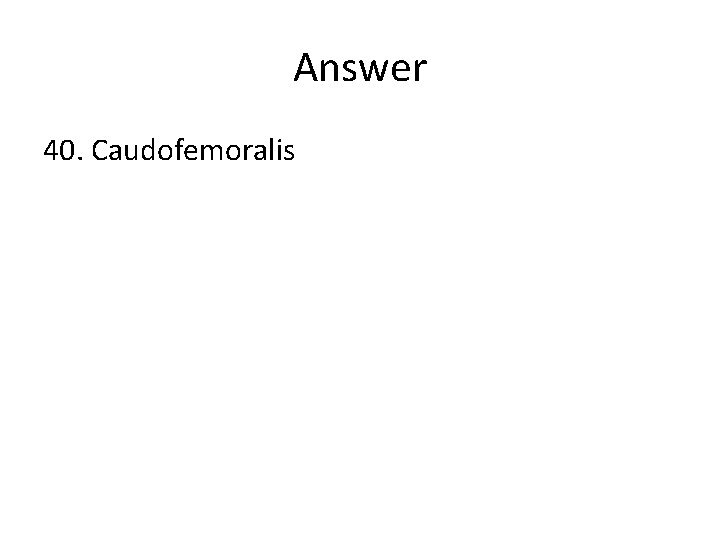 Answer 40. Caudofemoralis 