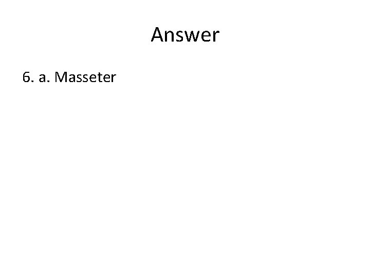 Answer 6. a. Masseter 