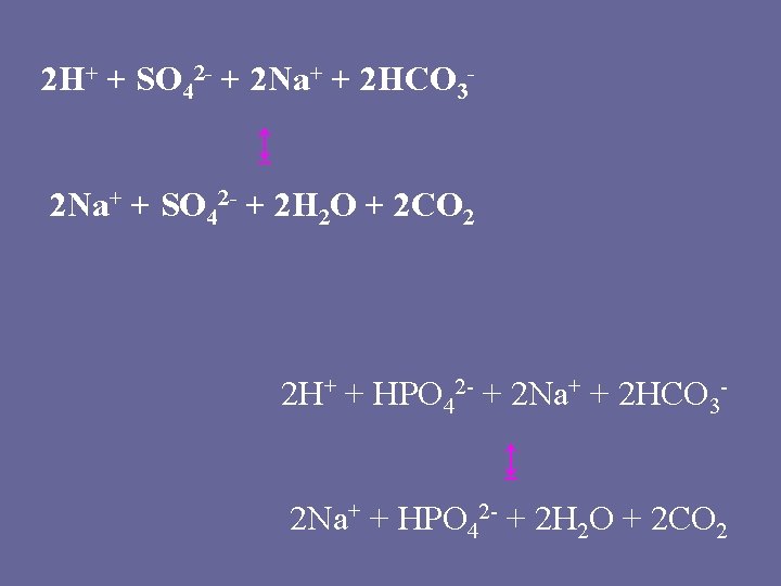 2 H+ + SO 42 - + 2 Na+ + 2 HCO 3↨ 2