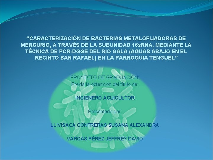 “CARACTERIZACIÓN DE BACTERIAS METALOFIJADORAS DE MERCURIO, A TRAVÉS DE LA SUBUNIDAD 16 s. RNA,
