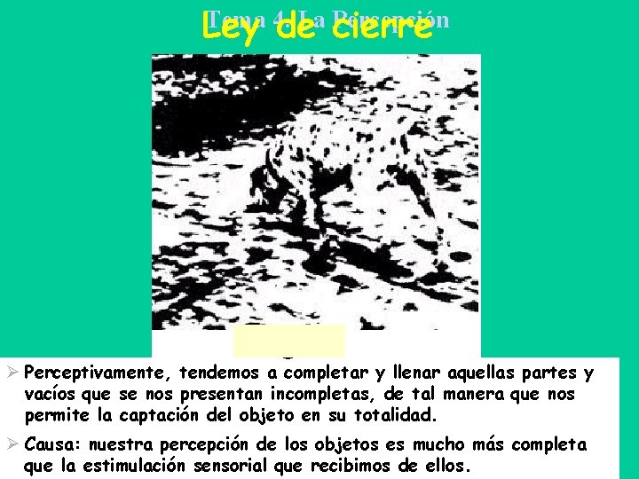Tema 4. La cierre Percepción Ley de Ø Perceptivamente, tendemos a completar y llenar