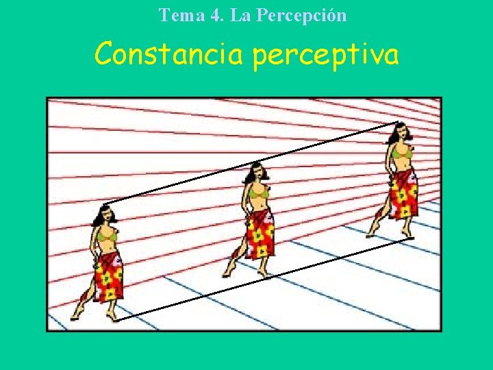 Tema 4. La Percepción Constancia perceptiva 