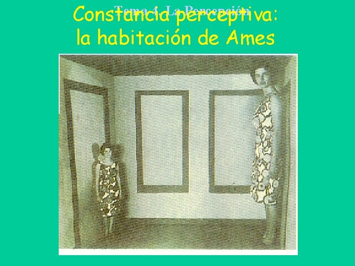 Tema 4. Laperceptiva: Percepción Constancia la habitación de Ames 