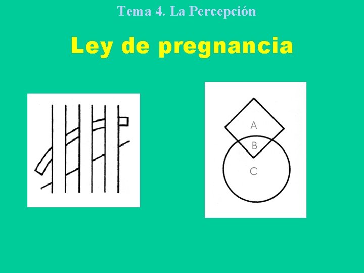 Tema 4. La Percepción Ley de pregnancia 