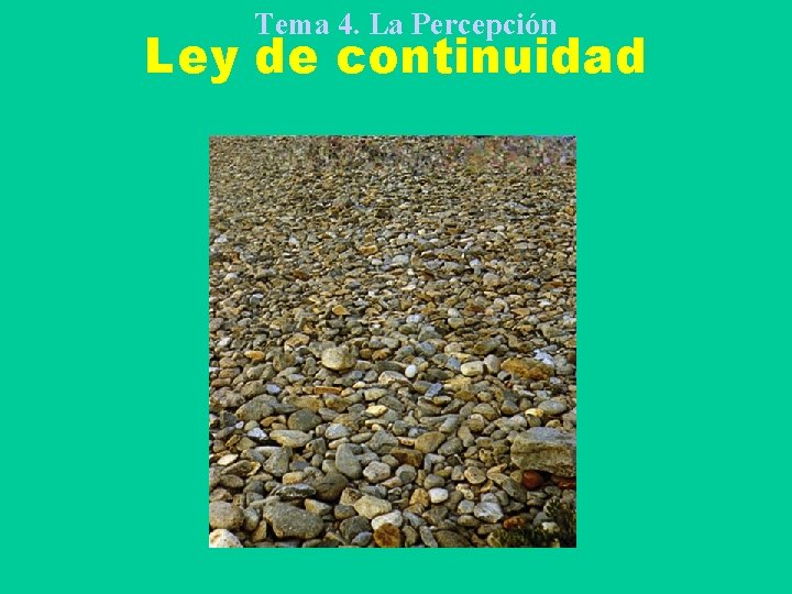 Tema 4. La Percepción Ley de continuidad 