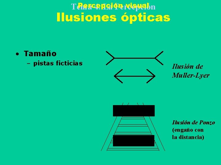 Percepción visual Tema 4. La Percepción Ilusiones ópticas • Tamaño – pistas ficticias Ilusión