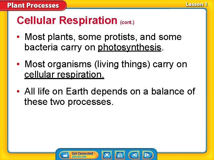 Cellular Respiration (cont. ) • Most plants, some protists, and some bacteria carry on