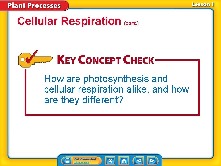Cellular Respiration (cont. ) How are photosynthesis and cellular respiration alike, and how are