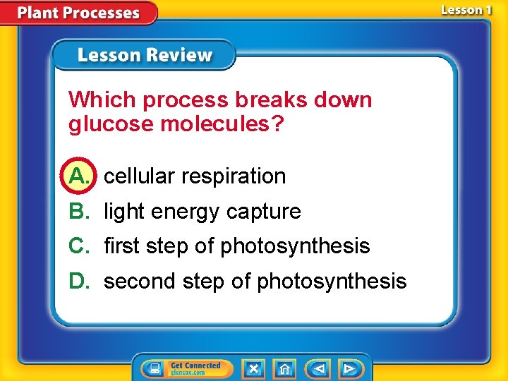 Which process breaks down glucose molecules? A. cellular respiration B. light energy capture C.
