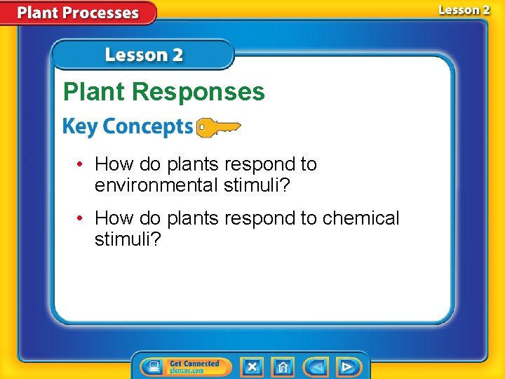 Plant Responses • How do plants respond to environmental stimuli? • How do plants