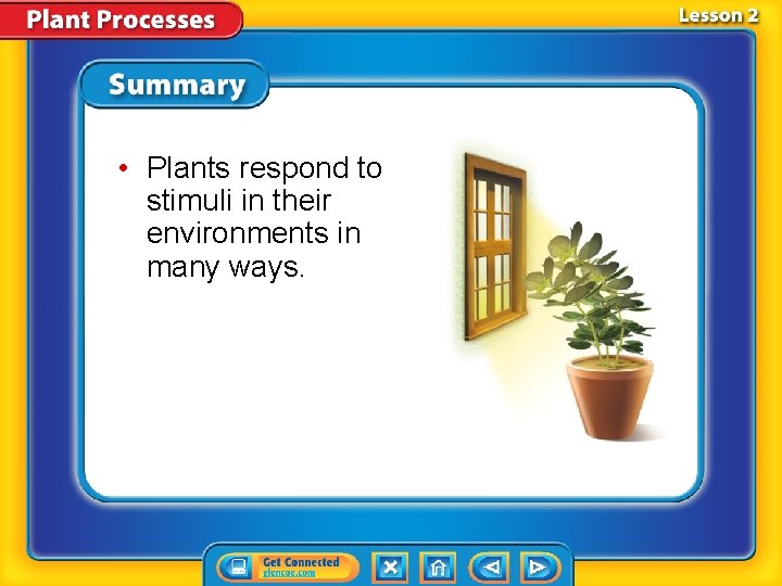  • Plants respond to stimuli in their environments in many ways. 