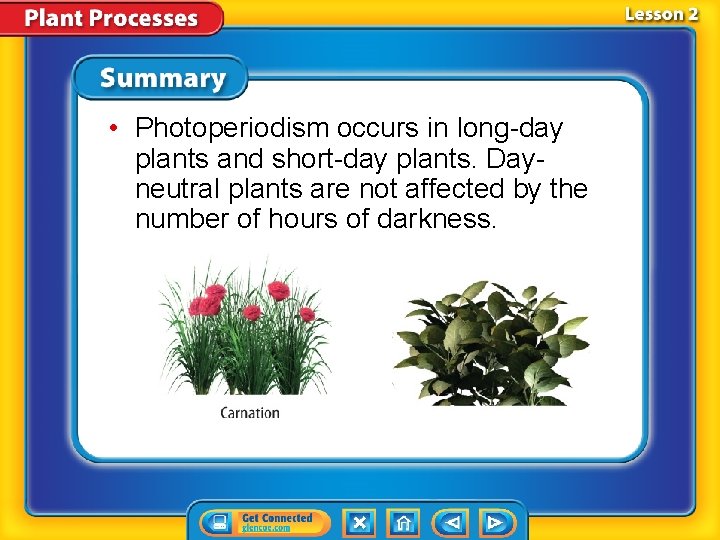 • Photoperiodism occurs in long-day plants and short-day plants. Dayneutral plants are not