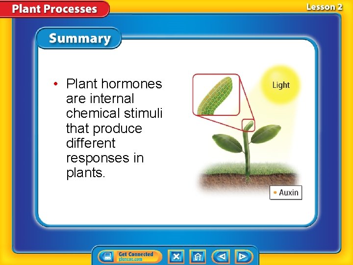  • Plant hormones are internal chemical stimuli that produce different responses in plants.