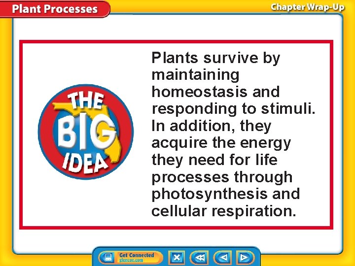 Plants survive by maintaining homeostasis and responding to stimuli. In addition, they acquire the