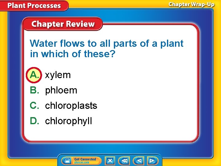 Water flows to all parts of a plant in which of these? A. xylem