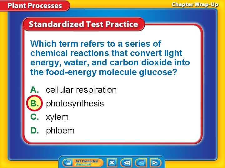 Which term refers to a series of chemical reactions that convert light energy, water,