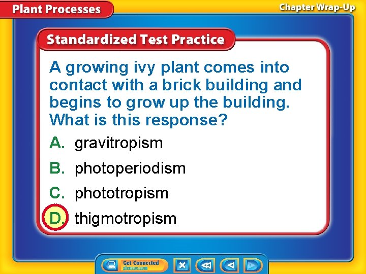 A growing ivy plant comes into contact with a brick building and begins to