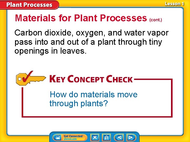 Materials for Plant Processes (cont. ) Carbon dioxide, oxygen, and water vapor pass into