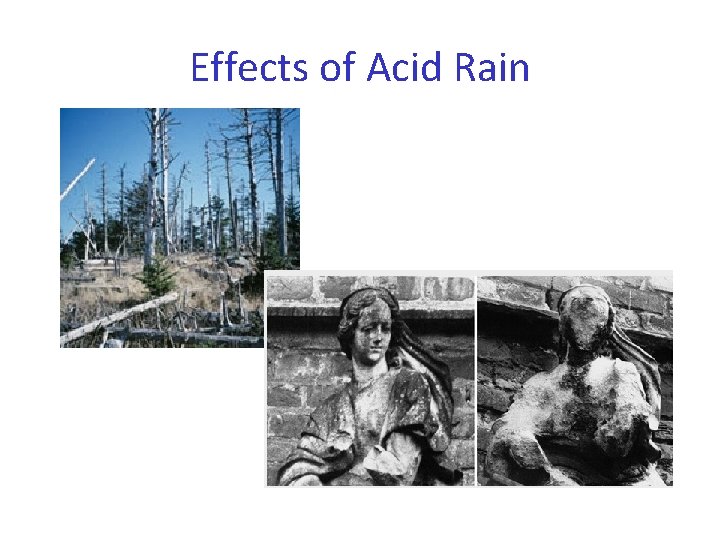 Effects of Acid Rain 