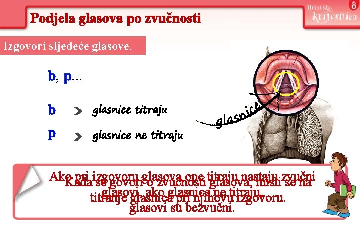 Podjela glasova po zvučnosti Izgovori sljedeće glasove. b, p. . . b glasnice titraju