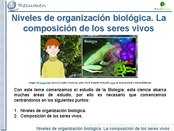 Niveles de organización biológica. La composición de los seres vivos Imagen de Fondo bajo