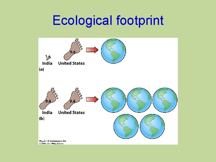 Ecological footprint 