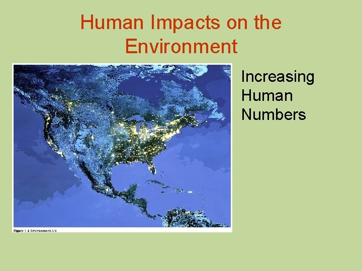 Human Impacts on the Environment Increasing Human Numbers 