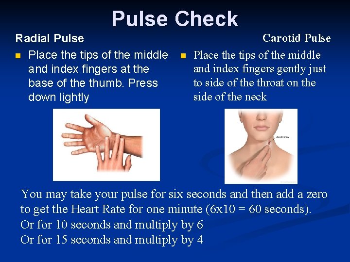 Pulse Check Radial Pulse n Place the tips of the middle and index fingers