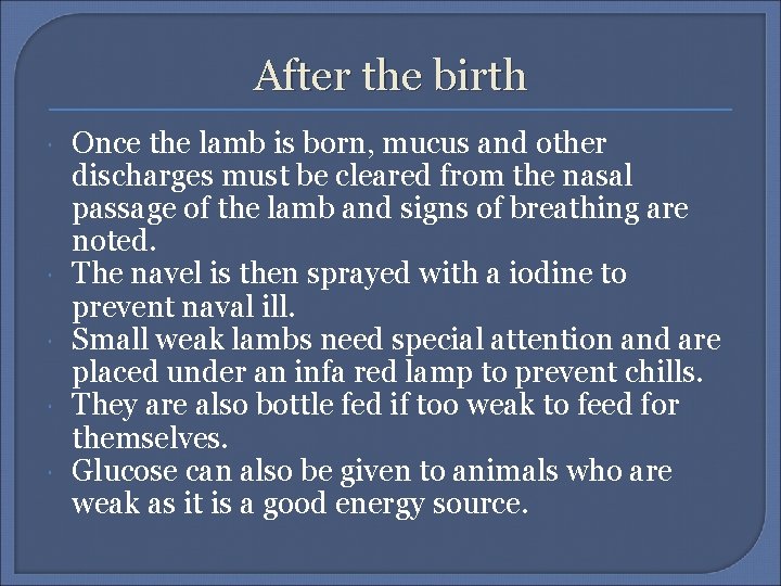 After the birth Once the lamb is born, mucus and other discharges must be