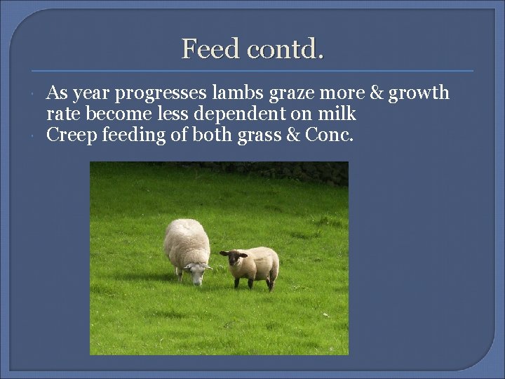 Feed contd. As year progresses lambs graze more & growth rate become less dependent