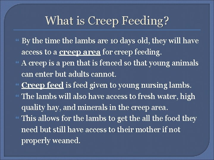 What is Creep Feeding? By the time the lambs are 10 days old, they