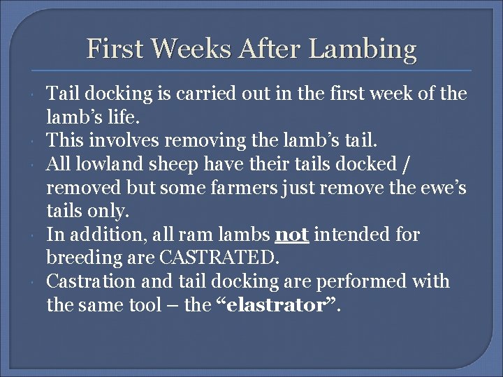 First Weeks After Lambing Tail docking is carried out in the first week of