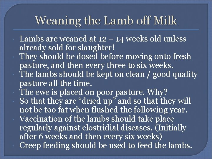 Weaning the Lamb off Milk Lambs are weaned at 12 – 14 weeks old