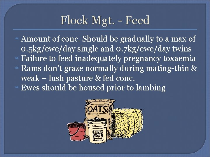 Flock Mgt. - Feed Amount of conc. Should be gradually to a max of