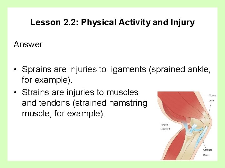 Lesson 2. 2: Physical Activity and Injury Answer • Sprains are injuries to ligaments