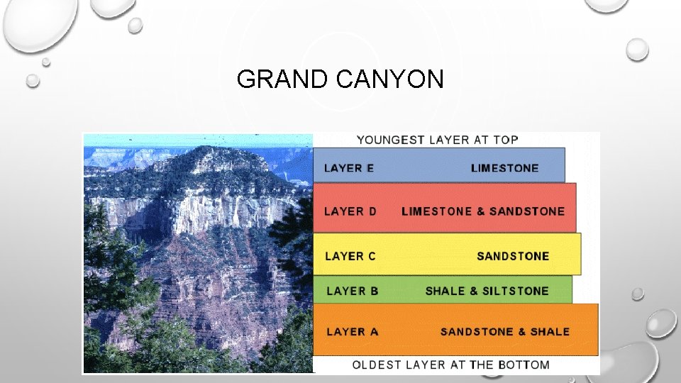 GRAND CANYON 