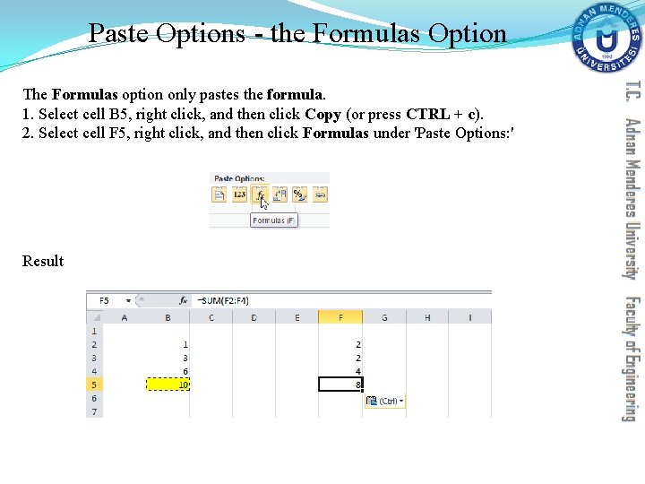 Paste Options - the Formulas Option The Formulas option only pastes the formula. 1. Paste Options - the Formulas Option The Formulas option only pastes the formula. 1.