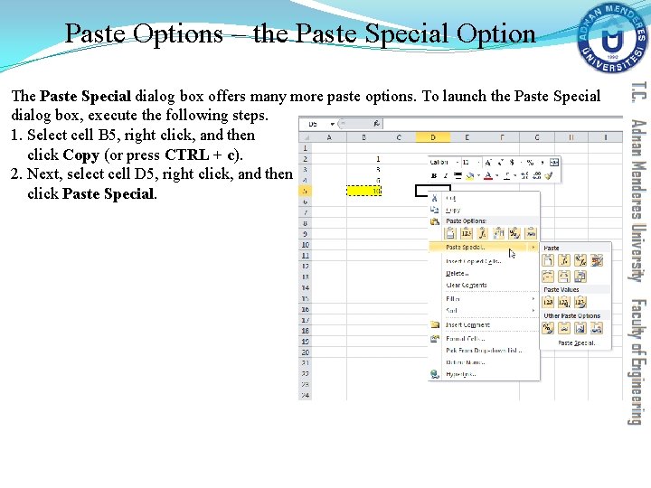 Paste Options – the Paste Special Option The Paste Special dialog box offers many Paste Options – the Paste Special Option The Paste Special dialog box offers many