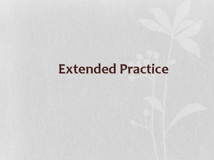 Extended Practice 