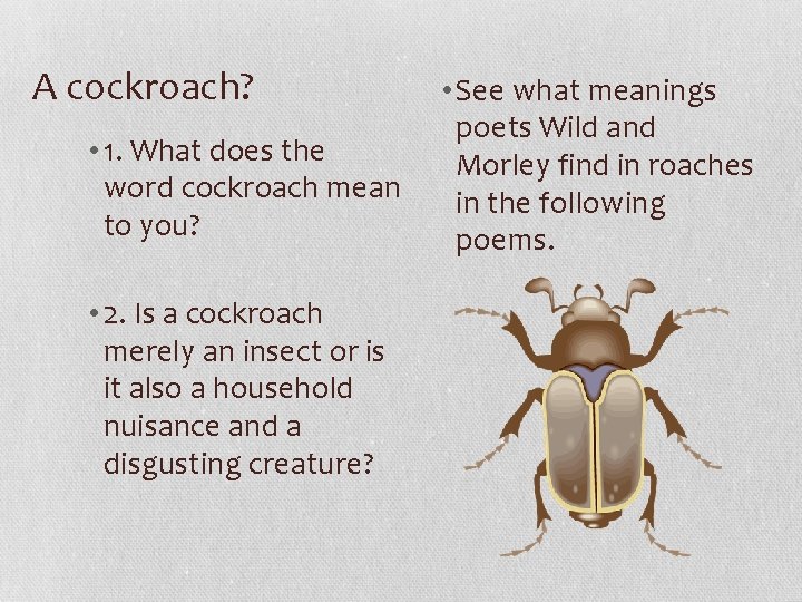 A cockroach? • 1. What does the word cockroach mean to you? • 2.